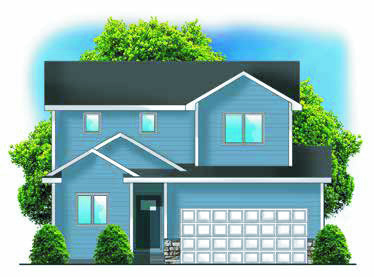 TANZANITE WILLOW PLAN